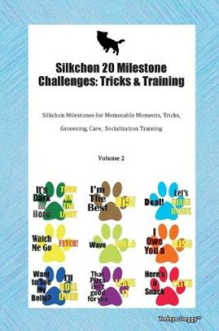 Cover of Silkchon 20 Milestone Challenges