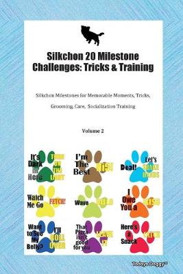 Book cover for Silkchon 20 Milestone Challenges