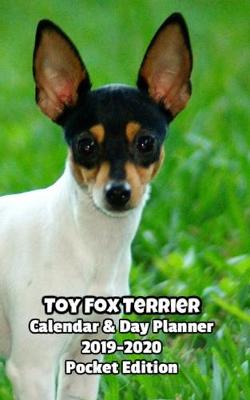 Book cover for Toy Fox Terrier Calendar & Day Planner 2019-2020 Pocket Edition