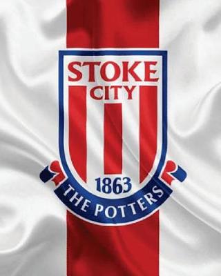 Book cover for Stoke City F.C. Diary