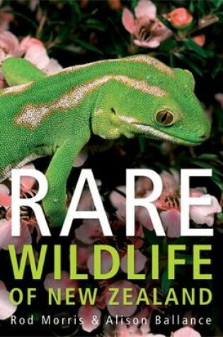 Cover of Rare Wildlife of New Zealand