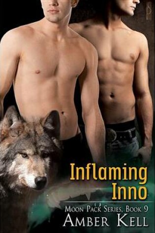 Cover of Inflaming Inno