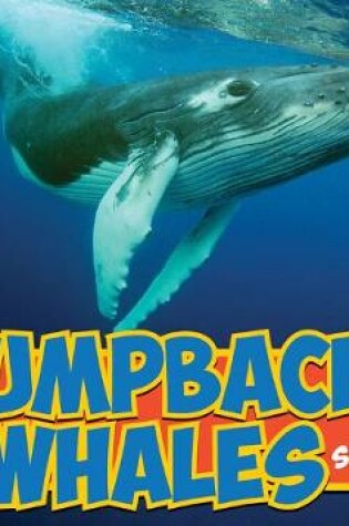 Cover of Humpback Whales