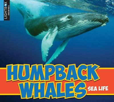 Cover of Humpback Whales