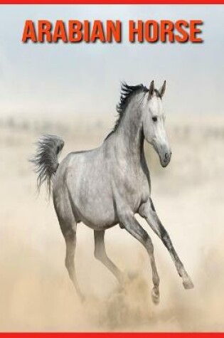 Cover of Arabian Horse