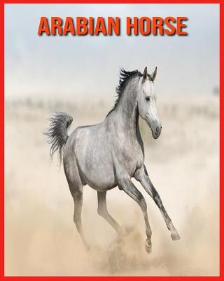 Book cover for Arabian Horse