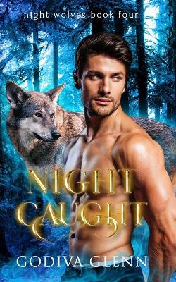 Book cover for Night Caught
