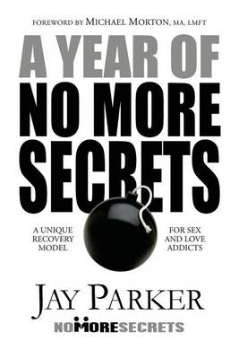 Book cover for A Year of No More Secrets