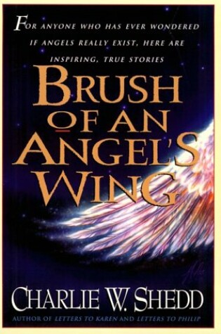 Cover of Brush of Angels Wing