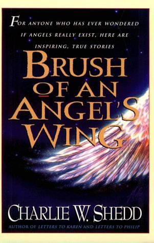 Book cover for Brush of Angels Wing