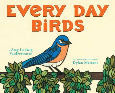 Book cover for Every Day Birds