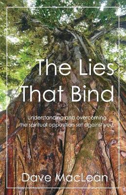 Book cover for The Lies That Bind