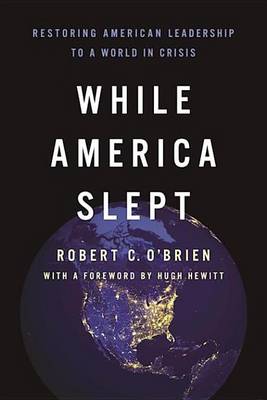 Book cover for While America Slept