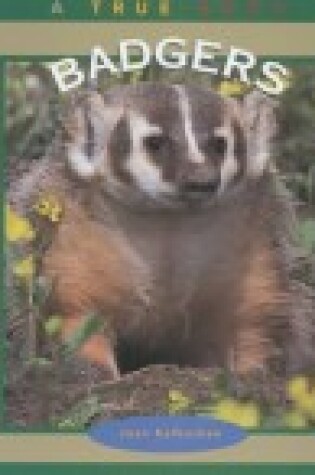 Cover of Badgers