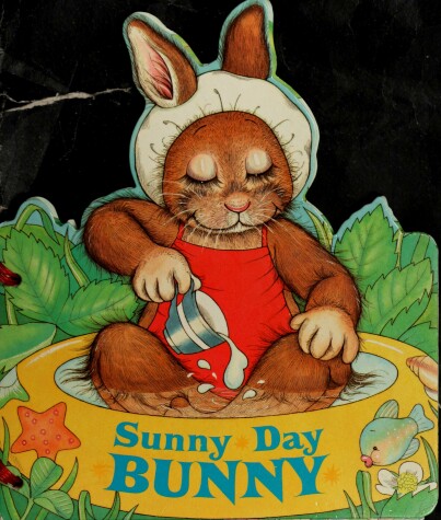 Book cover for Sunny Day Bunny