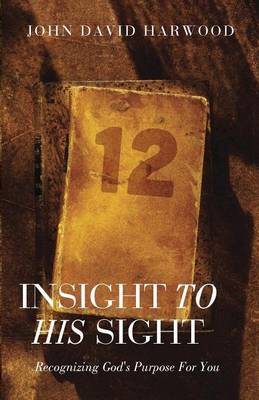 Book cover for Insight to His Sight