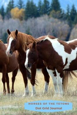 Book cover for Horses of the Tetons Dot Grid Journal