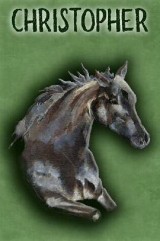 Cover of Watercolor Mustang Christopher