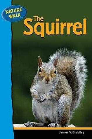 Cover of The Squirrel