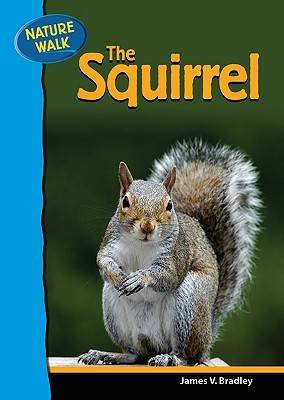 Cover of The Squirrel