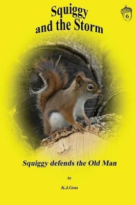 Book cover for Squiggy and the Storm