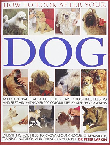 Book cover for How to Look After Your Dog
