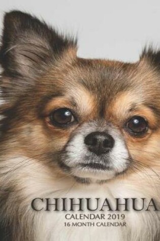 Cover of Chihuahua Calendar 2019