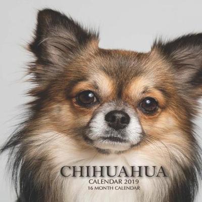 Book cover for Chihuahua Calendar 2019