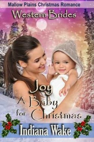 Cover of Joy - A Baby for Christmas
