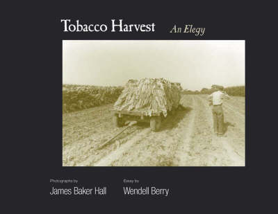 Book cover for Tobacco Harvest