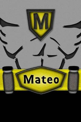 Book cover for Mateo