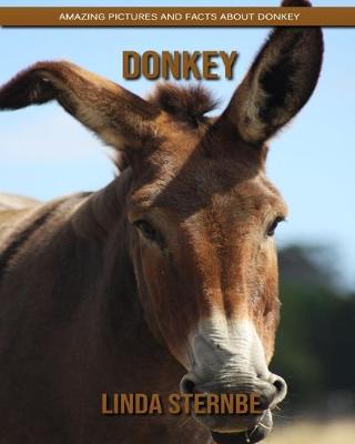 Book cover for Donkey