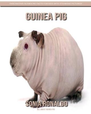 Book cover for All About Guinea Pig