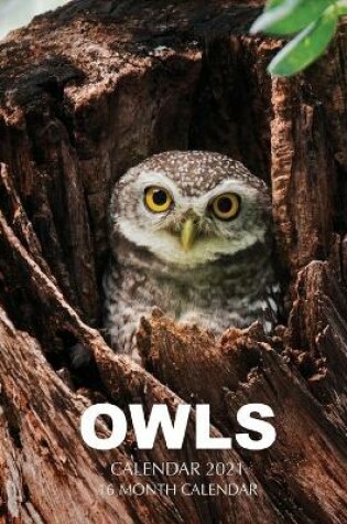 Cover of Owls Calendar 2021