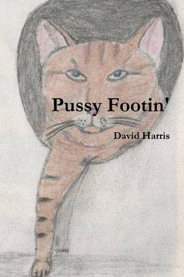 Book cover for Pussy Footin'