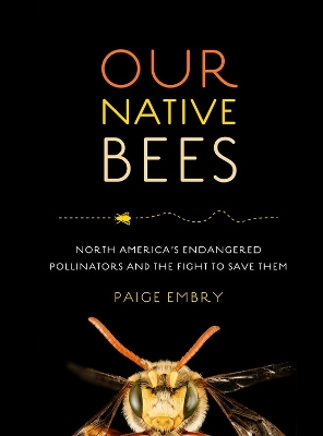 Book cover for Our Native Bees
