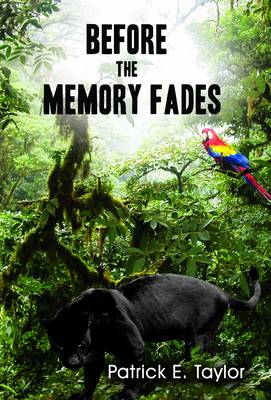 Book cover for Before the Memory Fades