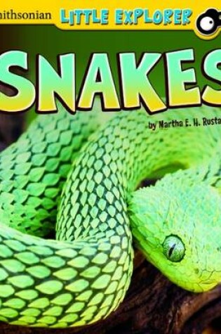 Cover of Snakes