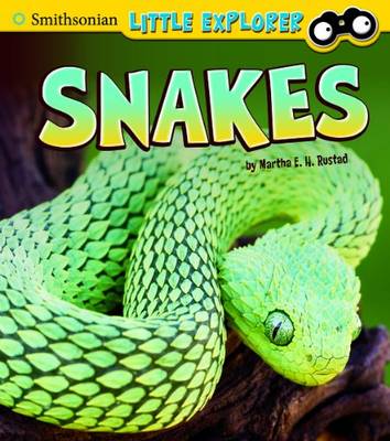 Book cover for Snakes