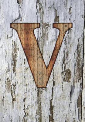 Book cover for V