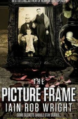 Cover of The Picture Frame