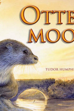 Cover of Otter Moon