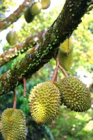 Cover of Durian Fruit on a Tree Journal