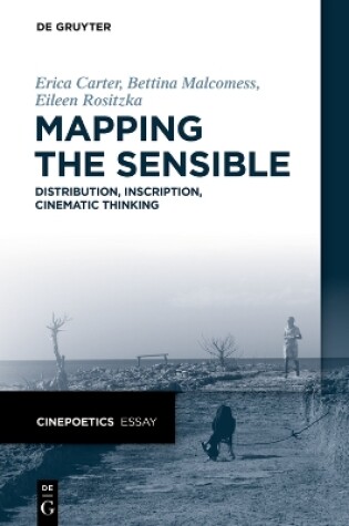 Cover of Mapping the Sensible