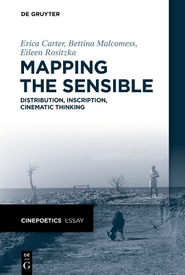 Book cover for Mapping the Sensible