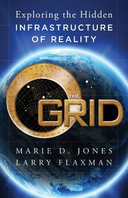 Book cover for The Grid