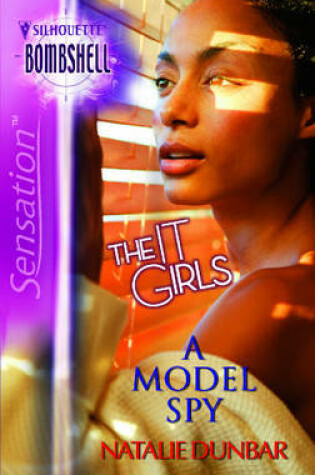 Cover of A Model Spy