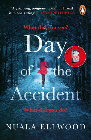Book cover for Day of the Accident
