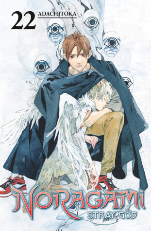 Book cover for Noragami: Stray God 22