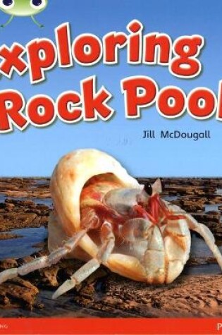 Cover of Bug Club Guided Non Fiction Year 1 Green C Exploring Rock Pools